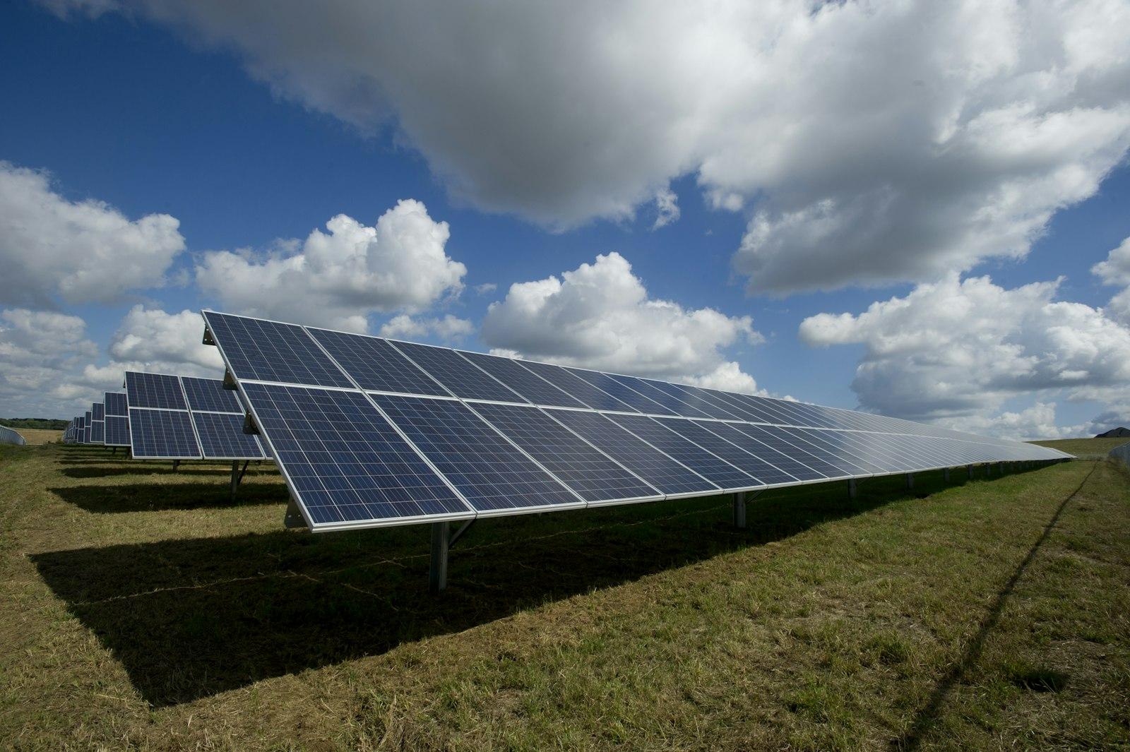 Rows of solar panels for the live store